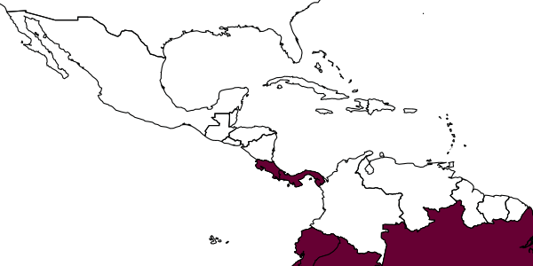 map of Deinodryinus reali     Olmi, 1993